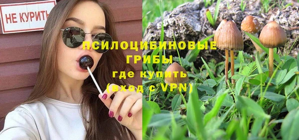 кокс Белокуриха