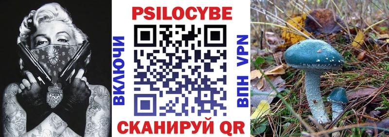 Галлюциногенные грибы прущие грибы  Городище 